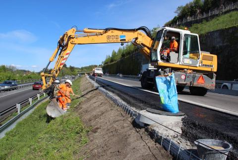 ruglei routier